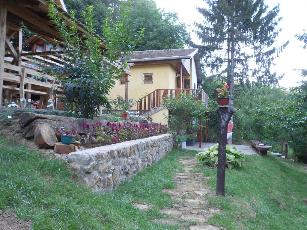 Apartments Borove Noci Vrdnik Exterior photo